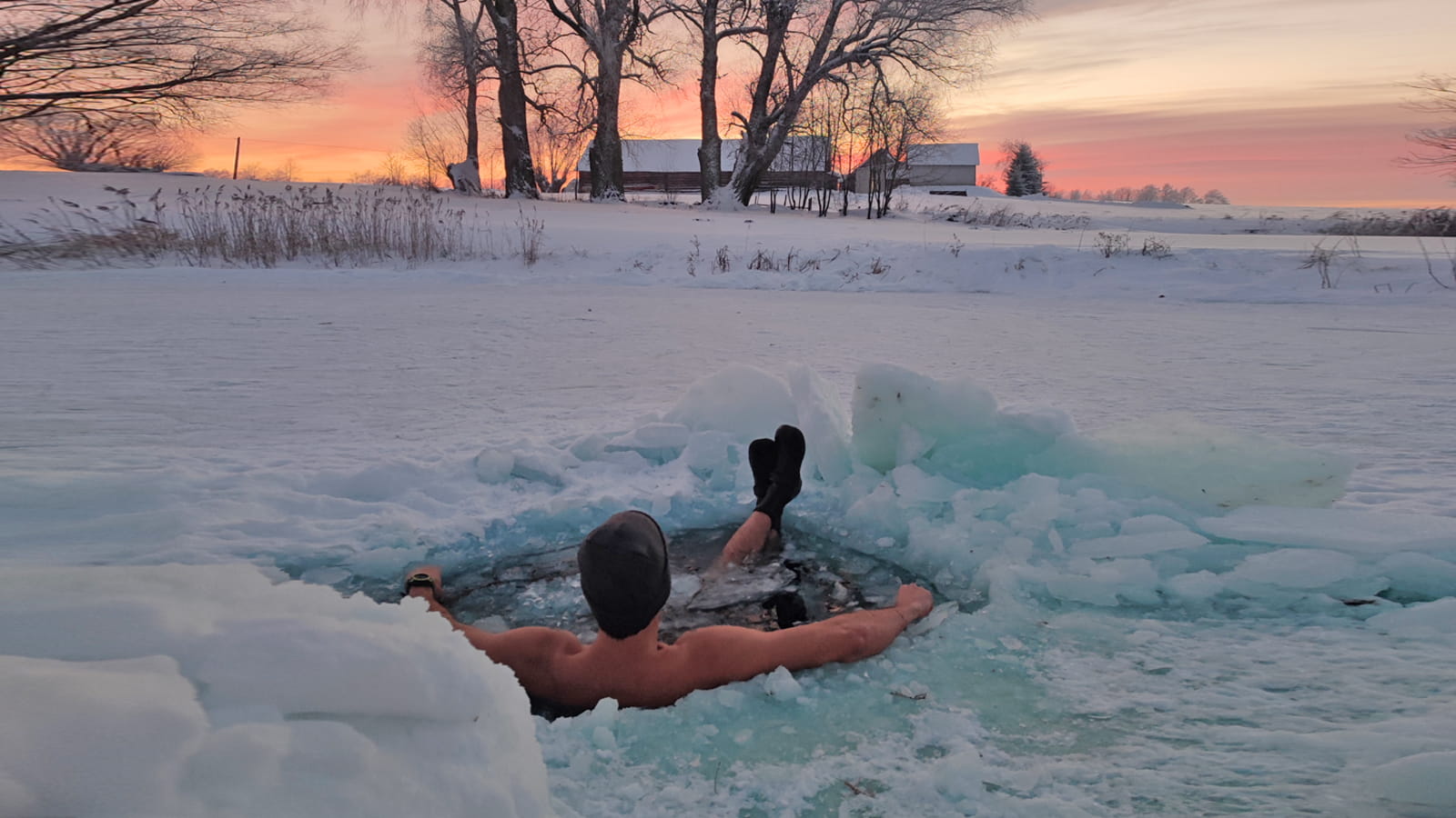 Cold water swimming and cold plunges in the sunset nature. Pink skies and white snow.